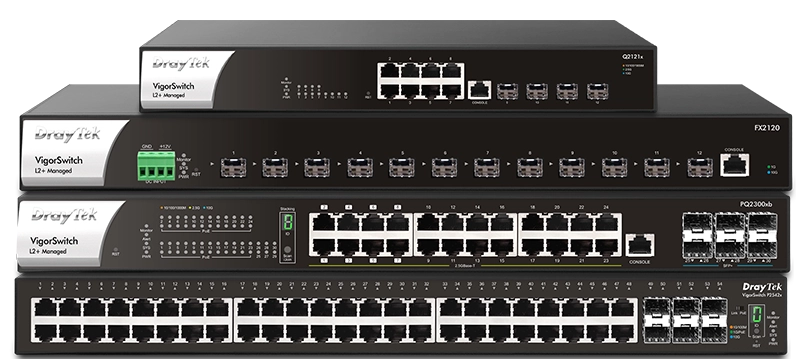 Manageable VigorSwitch F2