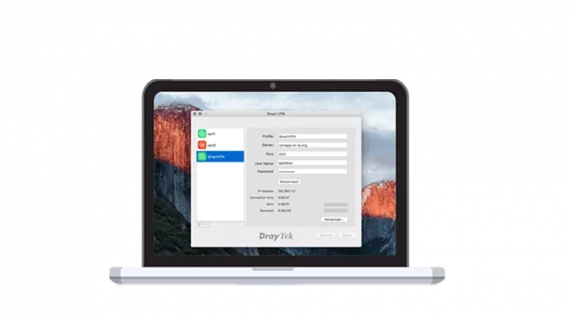 Smart VPN client
